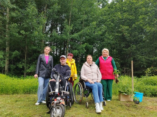 ВОТ ОНА....НАША АЛЛЕЯ КАШТАНОВ