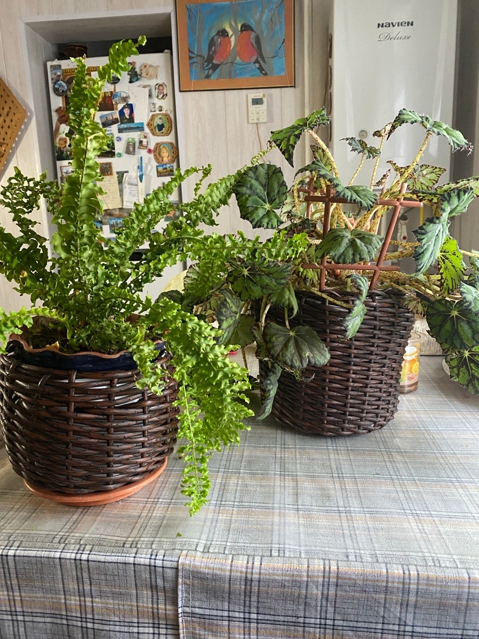 Друзья, помните наш пост о занятии по плетению ротанга?