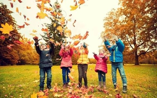 Осеннее приключение