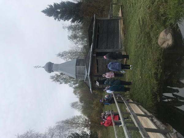 Поездка в Сизьму (центр активного долголетия 