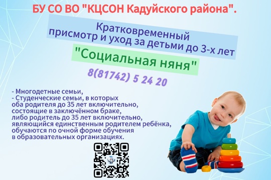 «Социальная няня»