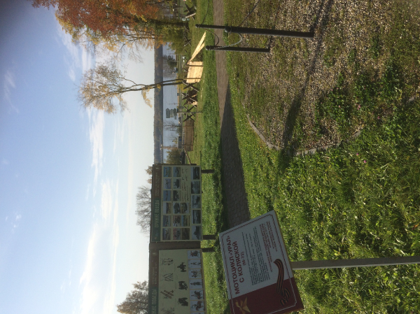 Парк Победы_23