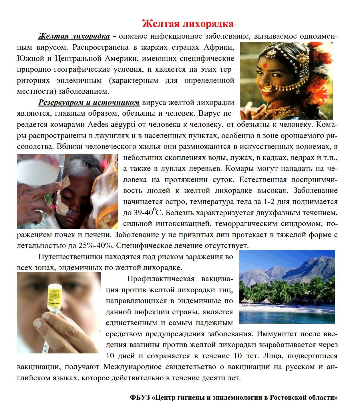 Желтая геморрагическая лихорадка патогенез. Желтая лихорадка что это. Желтая лихорадка картинки. Профилактика лихорадки. Желтая лихорадка что это.