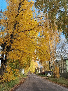 Вишнякова Нина Дмитриевна. г. Устюжна
"Краски природы"
Номинация: Родная природа