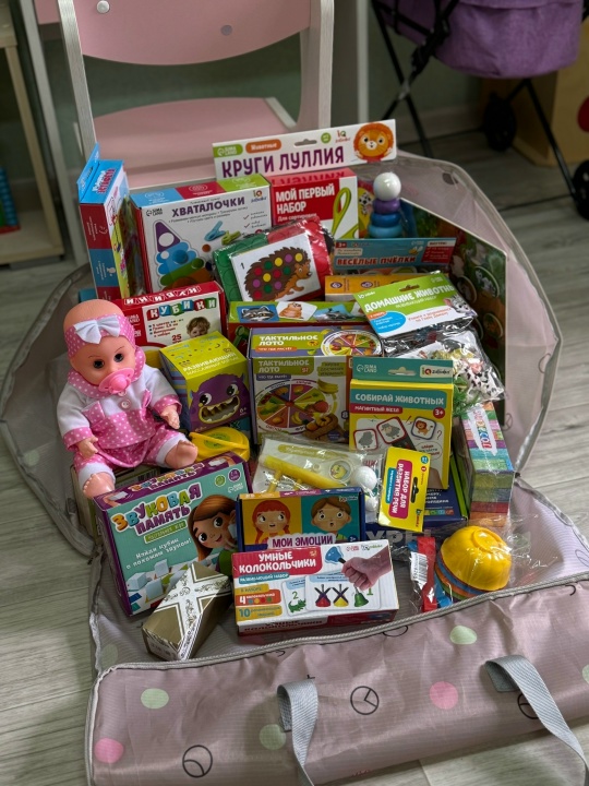 Выездная служба ранней помощи детям и их семьям "Домашний консультант