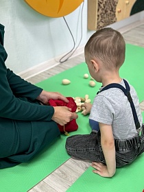 Продолжается реализация проекта по ранней помощи «Домашний консультант»