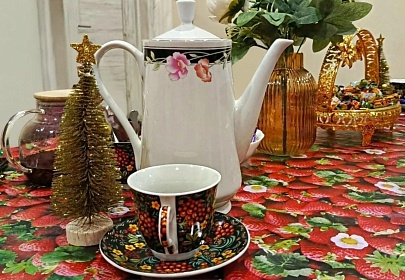 21 января 2026 года состоялась первая встреча замещающих родителей клуба «Ты не одна"